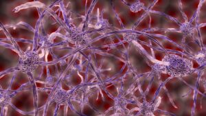 Neural connections